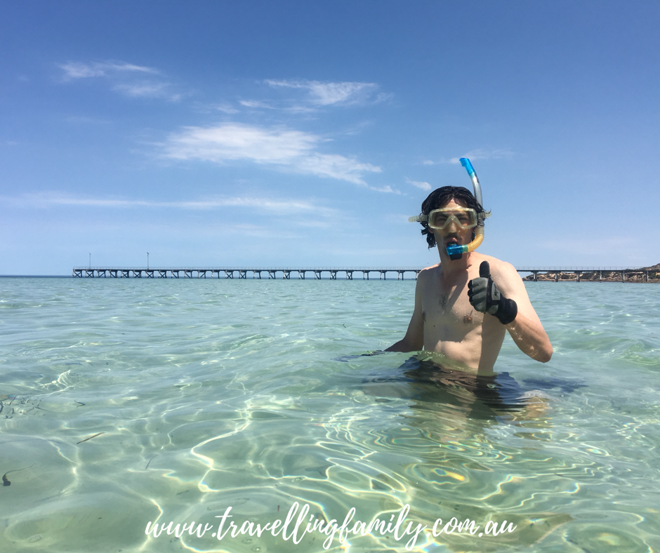 Snorkelling Haslam Camping Ground Travelling Family