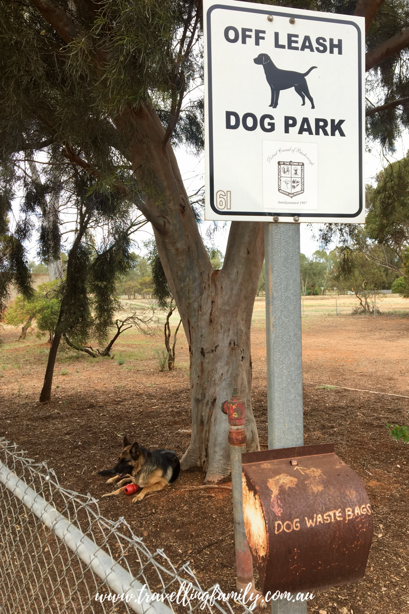 Peterborough Dog Park
