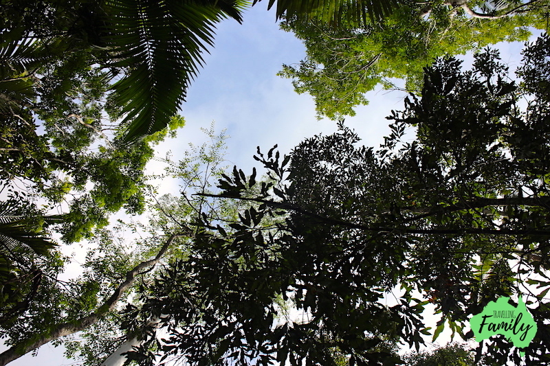 Platypus Bush Camp Eungella